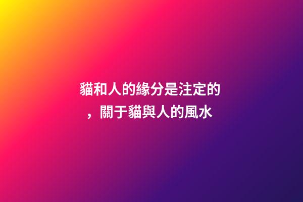 貓和人的緣分是注定的，關于貓與人的風水